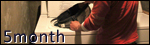 5month
