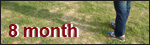 8month