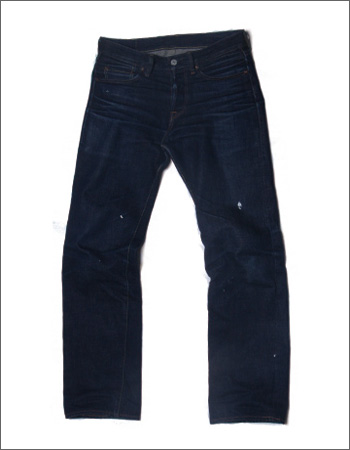 �C���f�B�S�W���[�i���@�f�j���@�F����