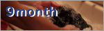 9month